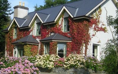 Une maison irlandaise accueillante avec un jardin somptueux