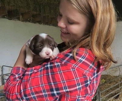 A summer school junior student with a puppy at an Irish farm during her summer stay in Dublin